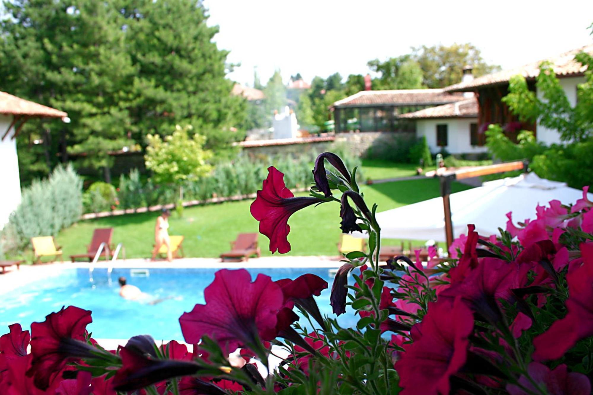 Hotel Izvora - Garden Retreat อาร์บานาซิ ภายนอก รูปภาพ