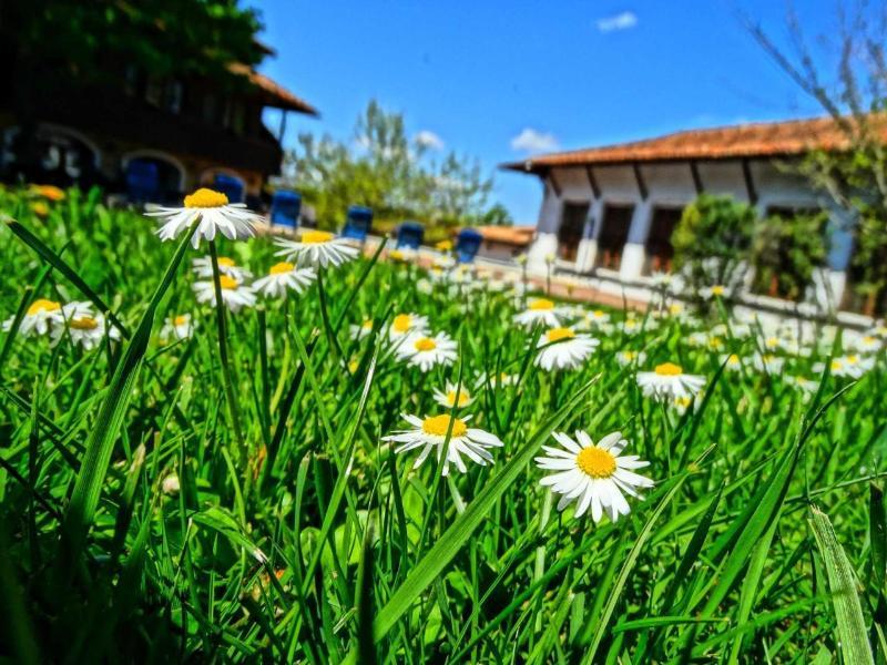 Hotel Izvora - Garden Retreat อาร์บานาซิ ภายนอก รูปภาพ