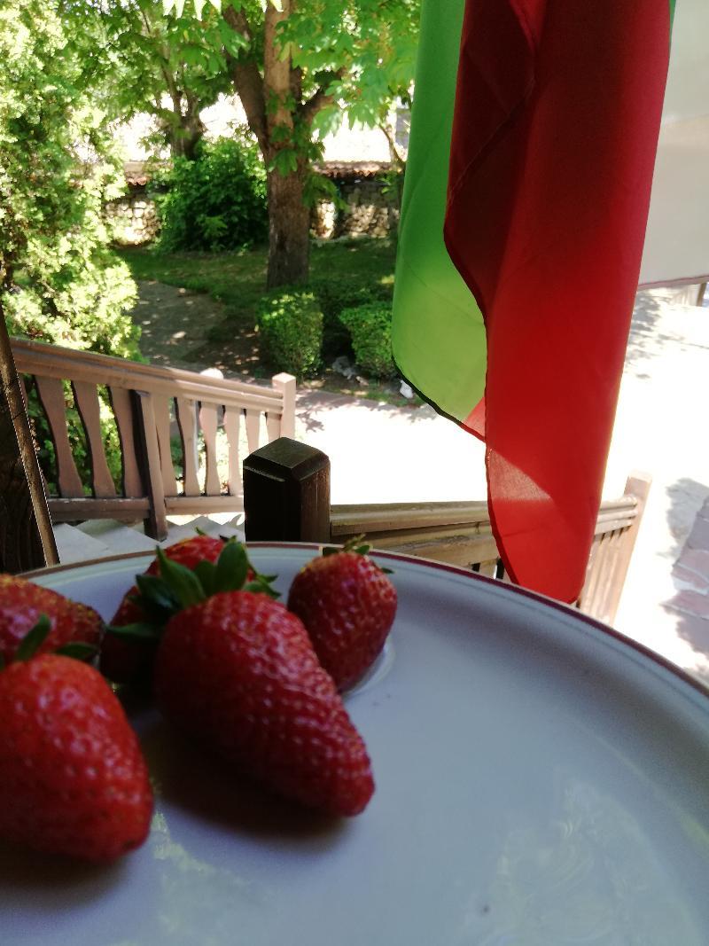 Hotel Izvora - Garden Retreat อาร์บานาซิ ภายนอก รูปภาพ